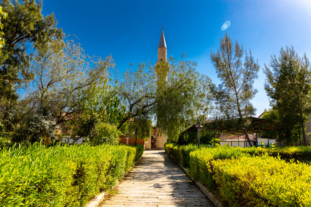 The-New-Mosque-2.jpg